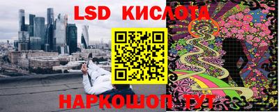 a pvp Новодвинск