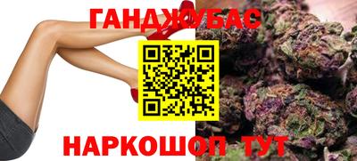 a pvp Новодвинск