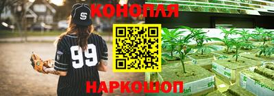 a pvp Новодвинск