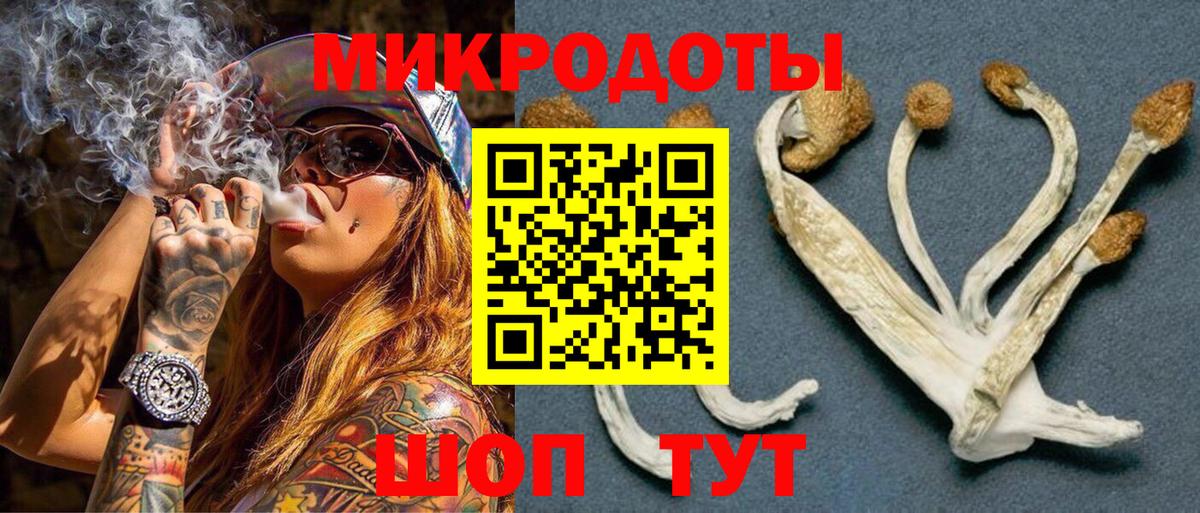 Галлюциногенные грибы MAGIC MUSHROOMS  Вход с VPN  Тайшет 
